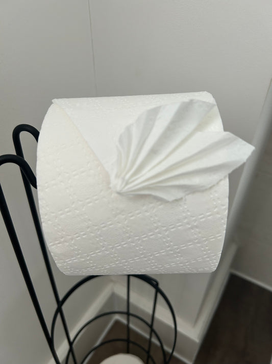 End of tenancy clean (subject to house size and location)
